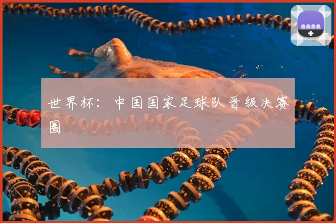 世界杯:中国国家足球队晋级决赛圈