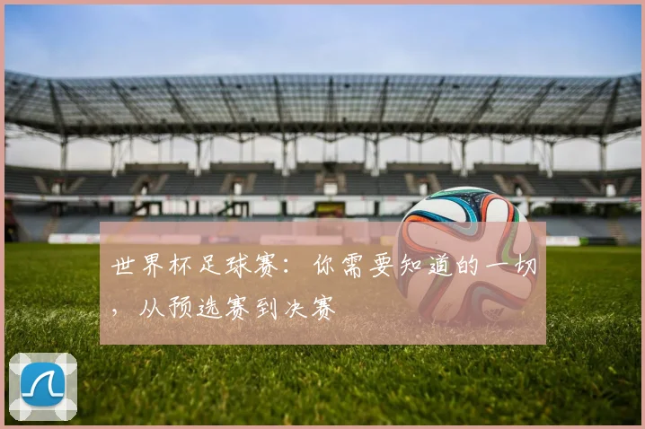 世界杯足球赛：你需要知道的一切，从预选赛到决赛
